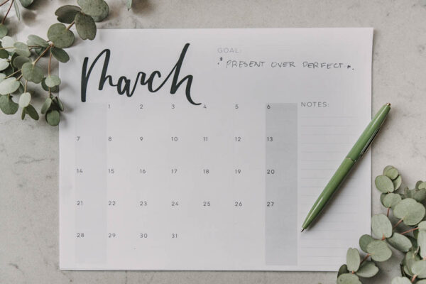 Printable Backdated Calendars Bundle (2015-2025) - Image 5