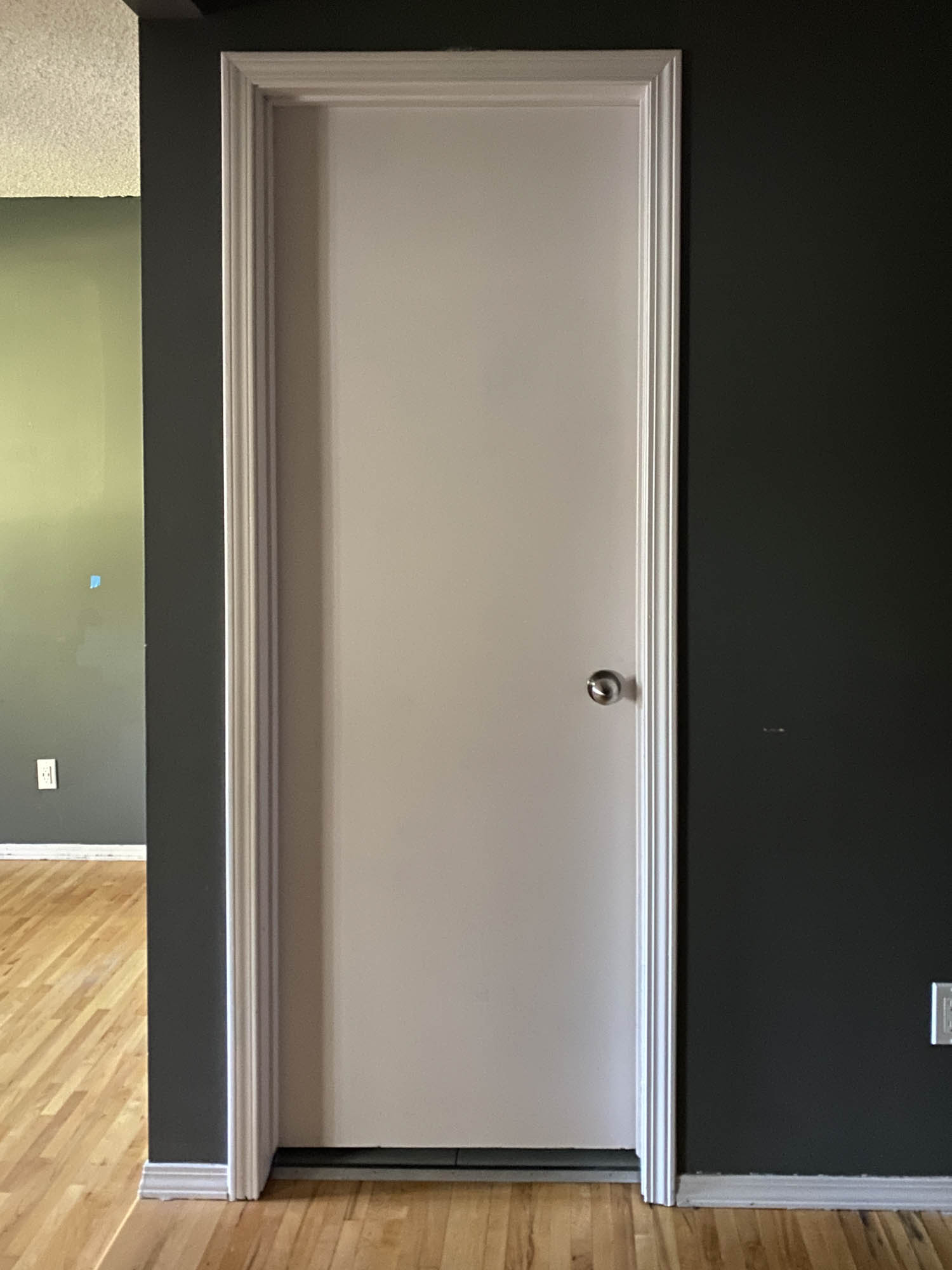 Hollow Core Doors BEFORE makeover