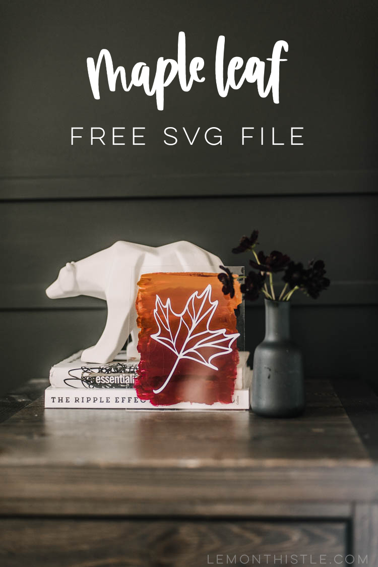 Line Art Maple Leaf Acrylic Sign with text overlay 'maple leaf free svg file'