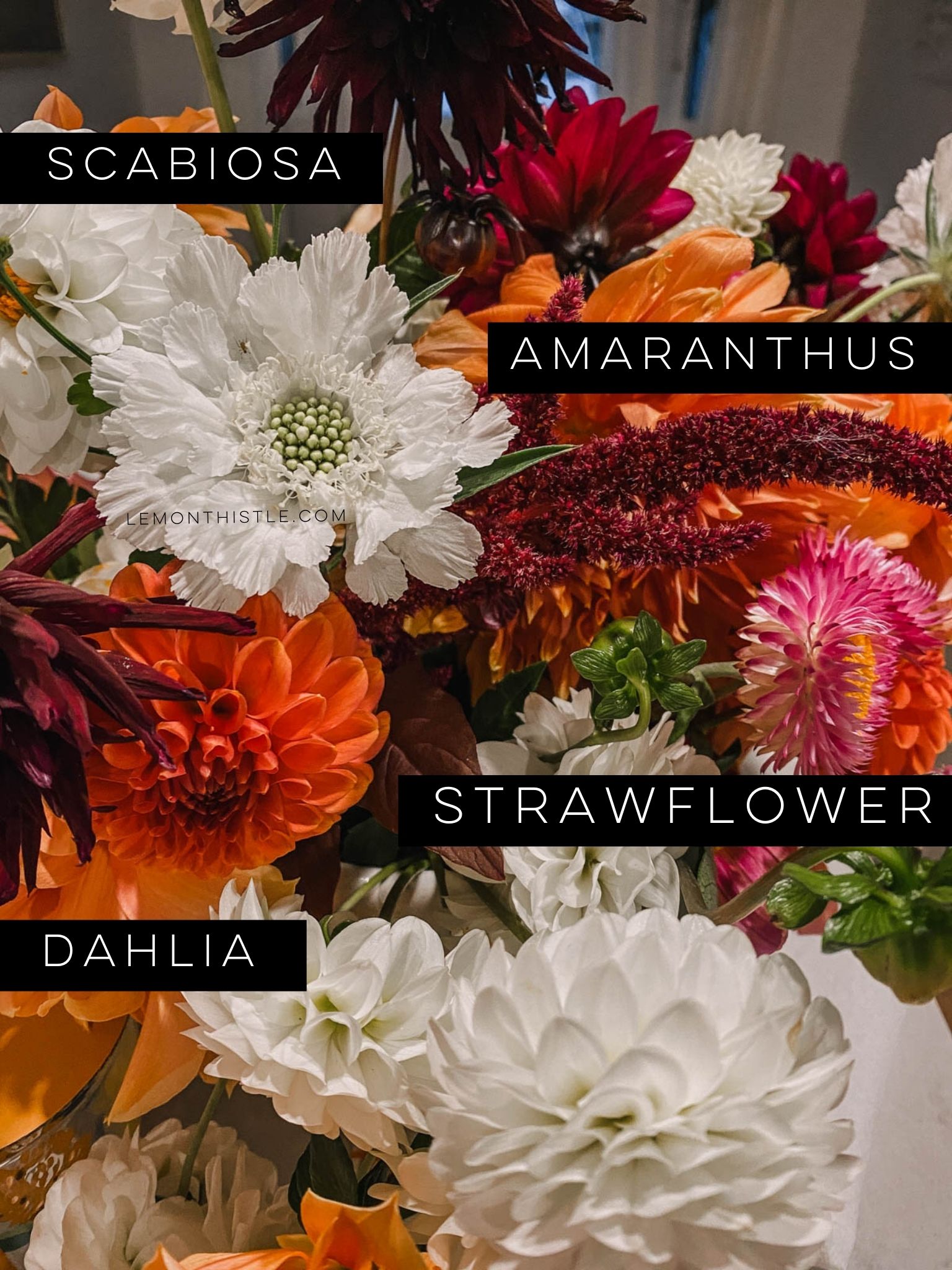 Home Grown Cut Flowers