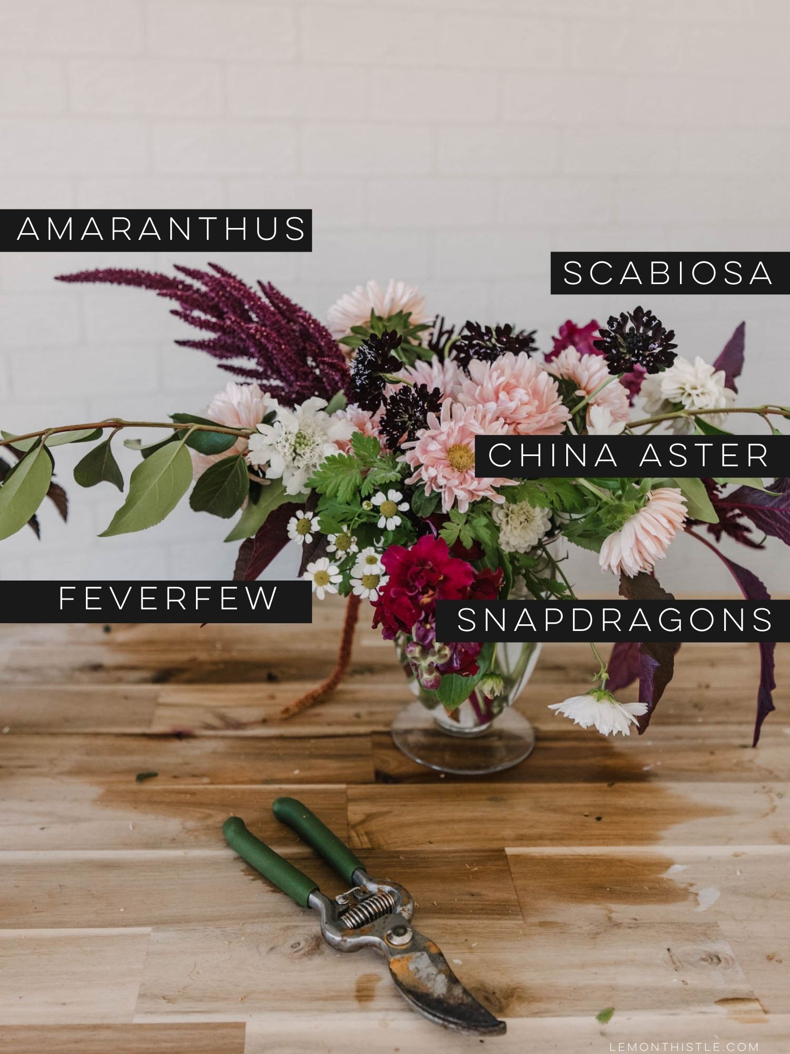The best cut flowers to grow at home