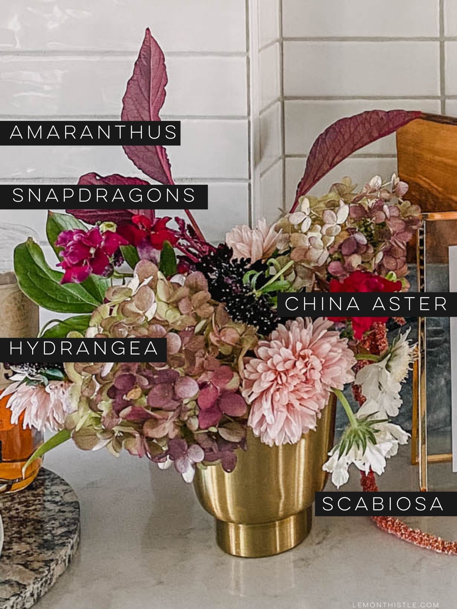 The best cut flowers to try your hand at growing