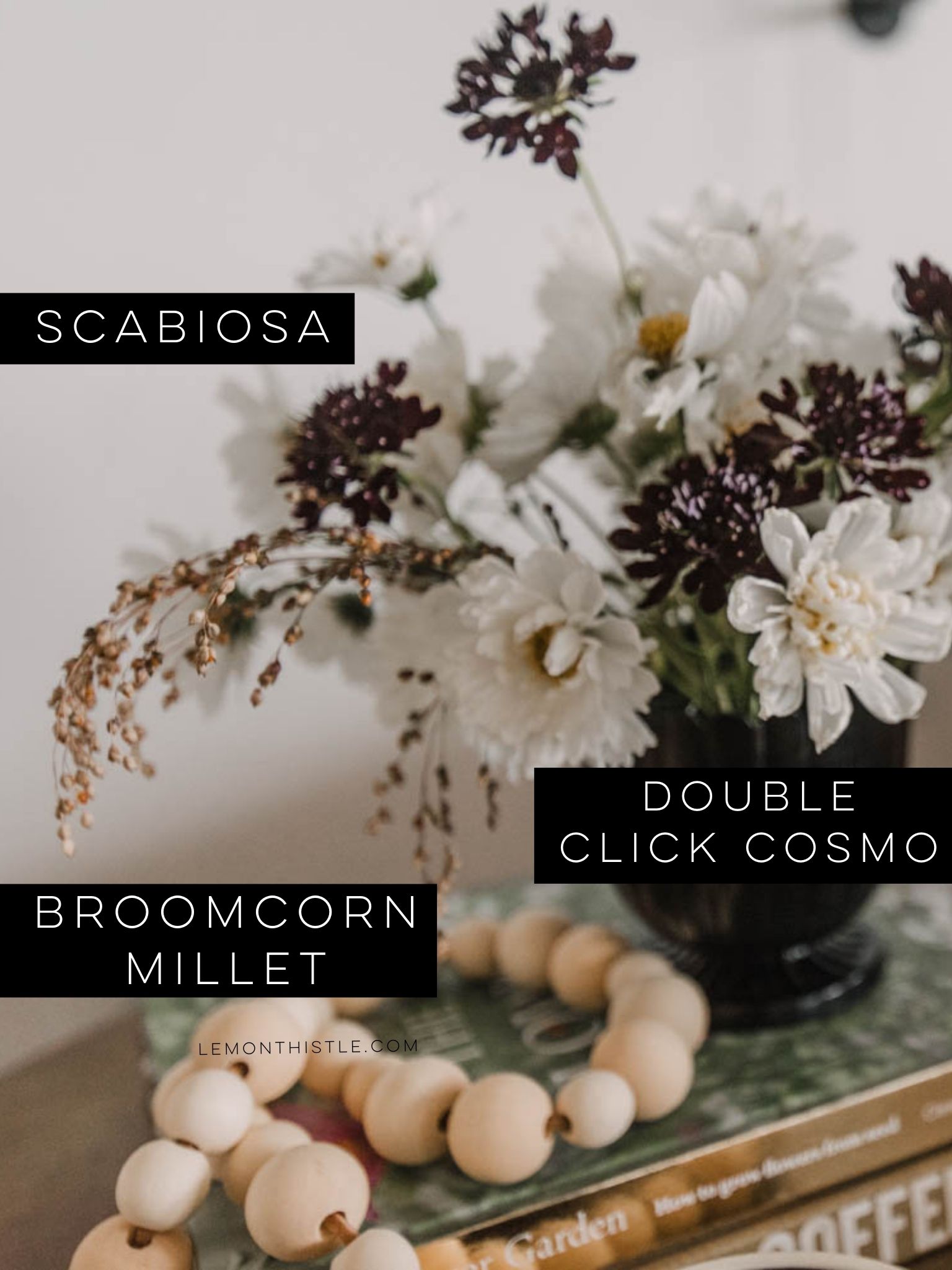The best cut flowers for home gardeners