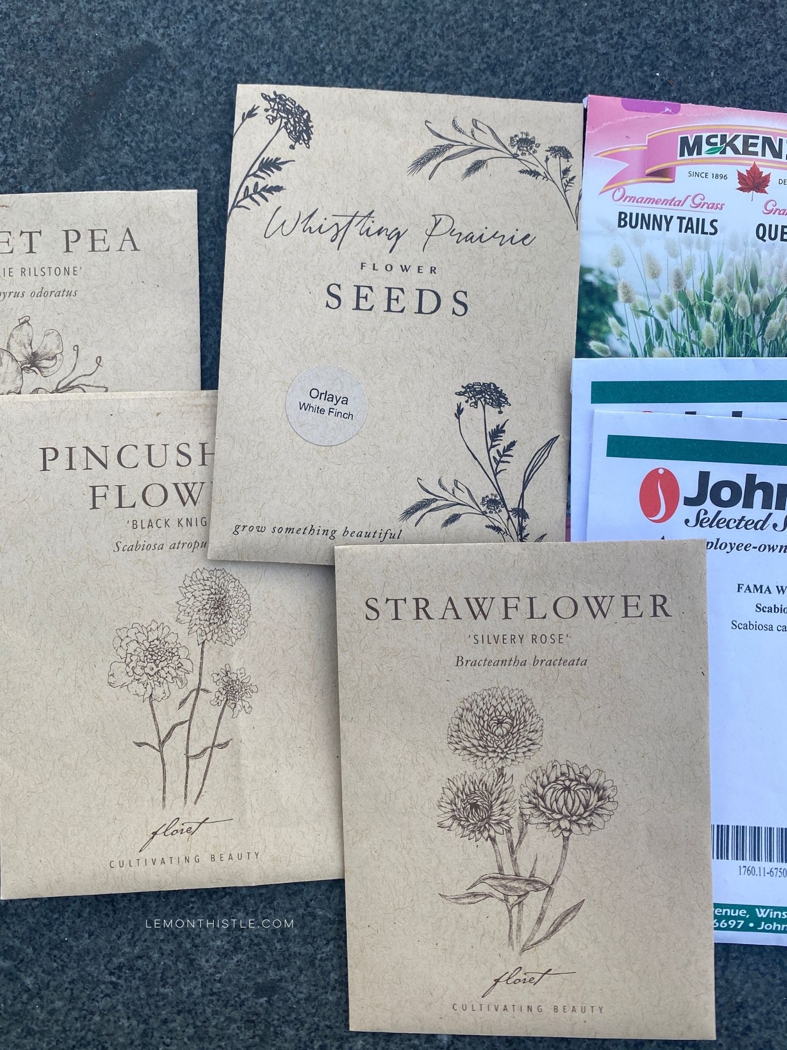 The best cut flowers to grow from seed for beginners