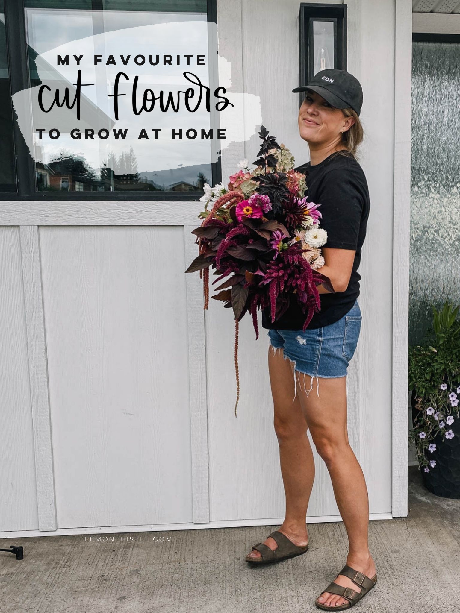 The best cut flowers to grow at home!