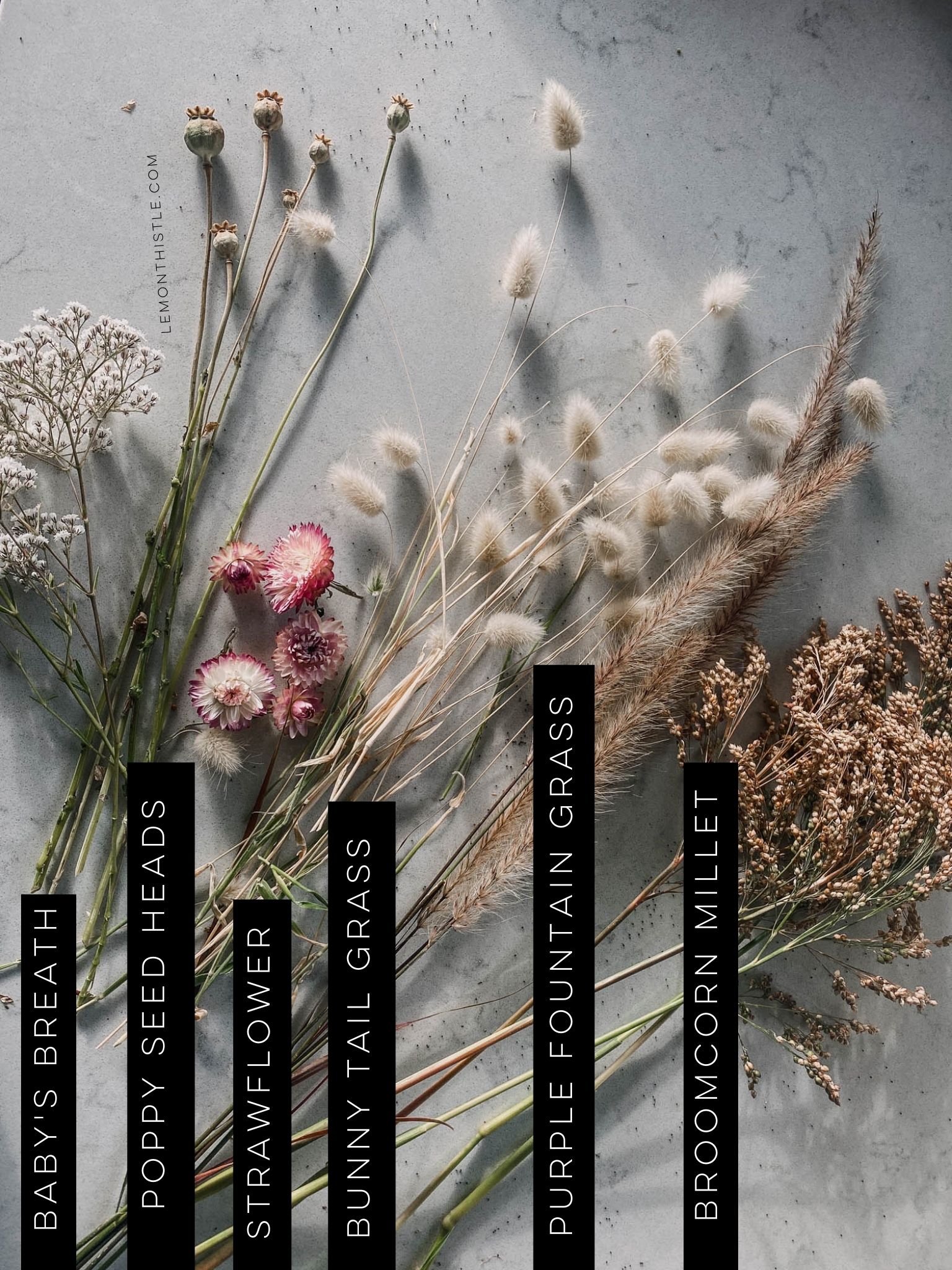 The best cut flowers to grow at home for year round bouquets