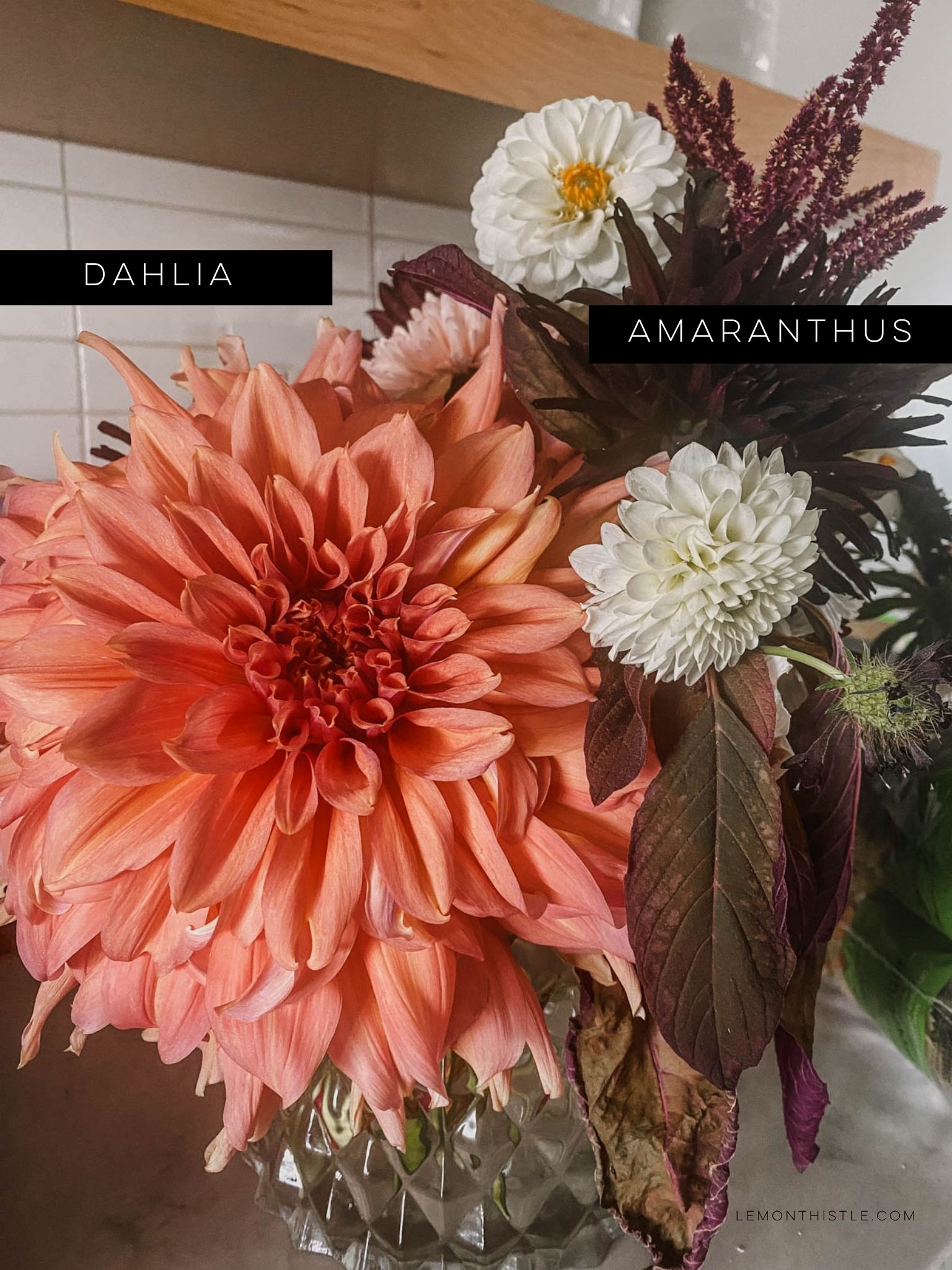 My favourite cut flowers to grow at home (zone 6)