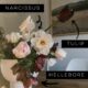 The best cut flowers for your home garden