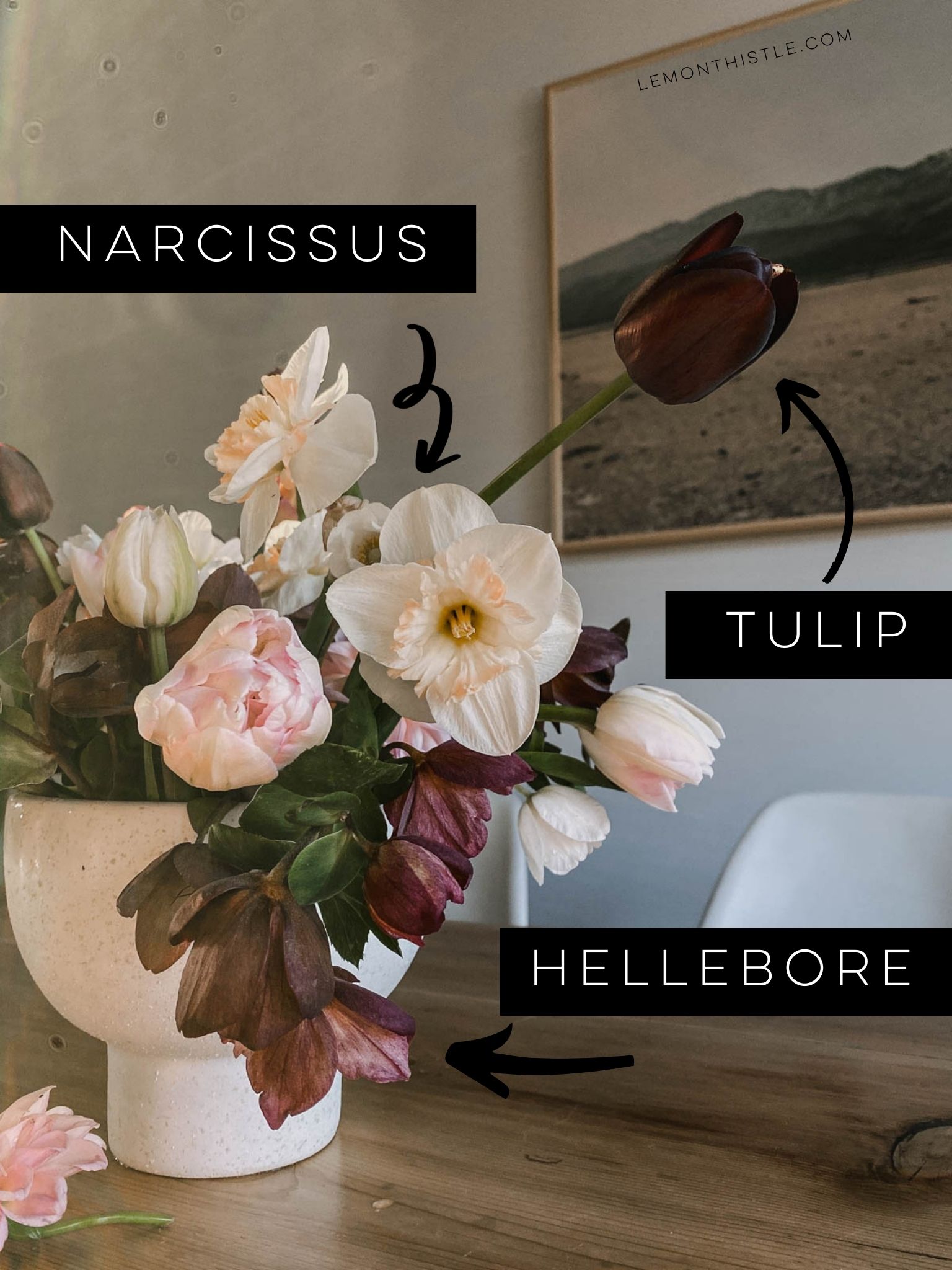The best cut flowers for your home garden
