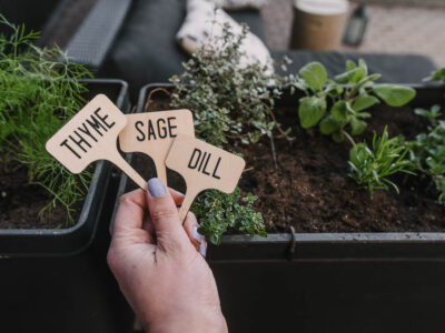 DIY Bamboo Plant Markers