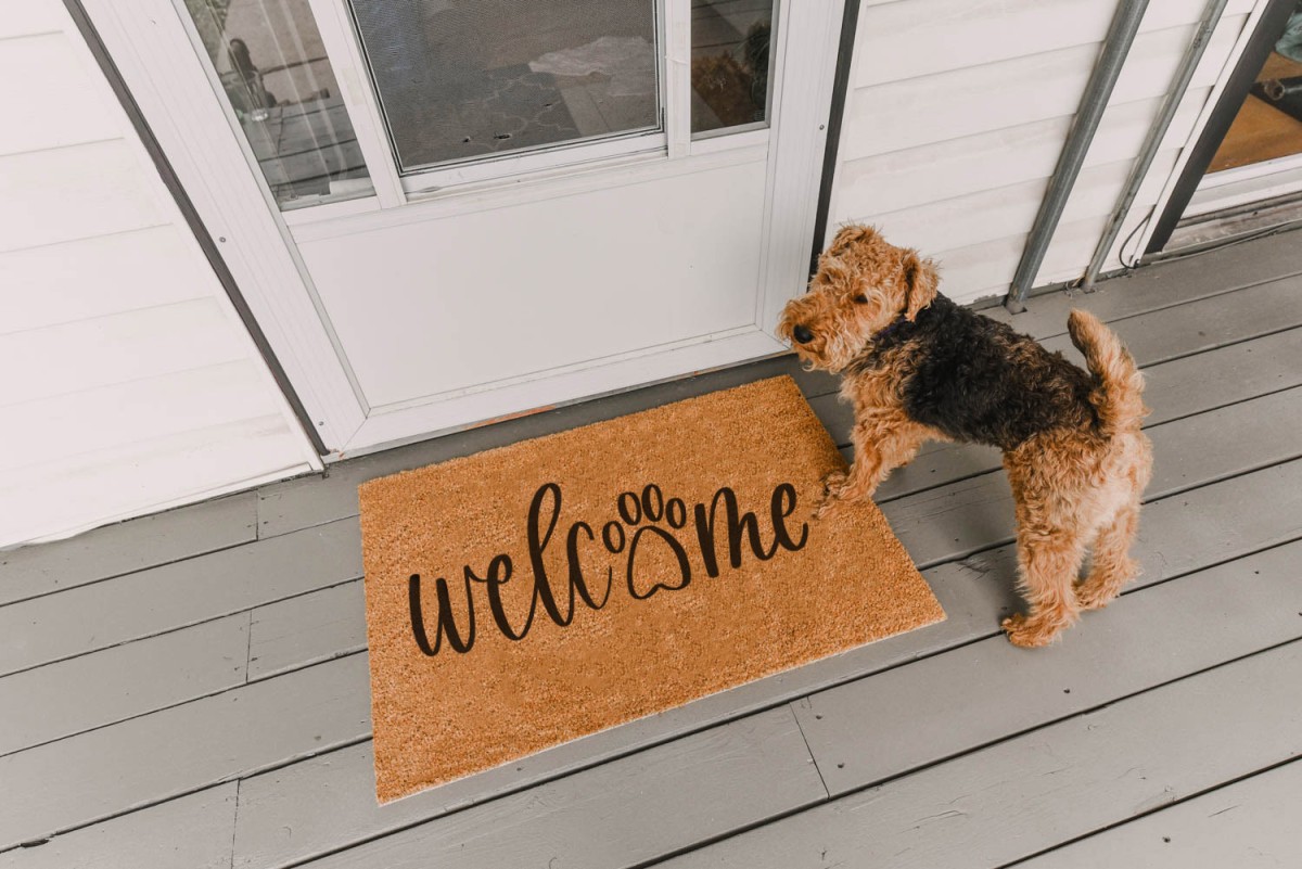 Welcome door mat with paw print 'o' on patio with dog waiting to go inside (free SVG file used in project)