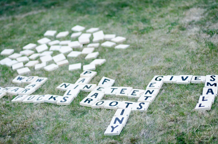 DIY Yard Games- I love the idea of having dominoes in my backyard-and speed scrabble!